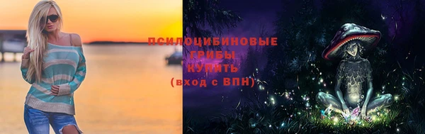 экстази Богородицк